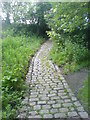 Cobbled Path towards Bank Farm