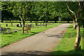 Towcester Road Cemetery, Northampton