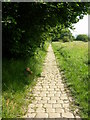 Cobbled footpath