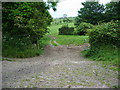 Track off the Torpenhow to Whitrigg road