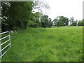 Pastoral view south of Ballymacrandal