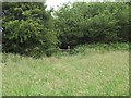 Stile in the hedge