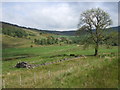 Ruin by the road in Glencarvie