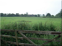 TL2369 : Pasture, West Farm, near Godmanchester by Simon Mortimer