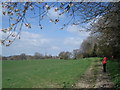 Footpath to Mathon Lodge