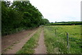 Footpath and Track