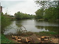 SO8933 : Riverbank at Tewkesbury by Trevor Rickard