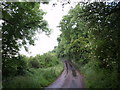 Lane near Brockscombe