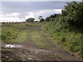 Bridleway near Redstone