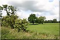 Meadow land near Hockwold