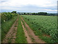 Looking Towards Willoughby Grange