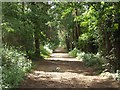 Footpath Along Former Railway Track