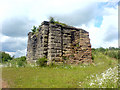 Remains of Bridge Pillar, Pleasley