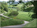 The road winding down from Glencuie towards Chapelton