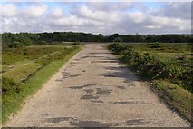 SU3606 : Concrete road on Yew Tree Heath, New Forest by Jim Champion