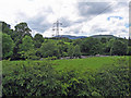 Peilonau tros afon Tryweryn. Pylons over river Tryweryn.