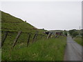 Sheep graze on the side of an old spoil heap