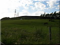 Horses graze with a background of old spoil heaps