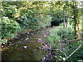 Avon Lwyd from the bridge