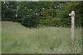 This signpost stands proudly in the middle of a trackless meadow.