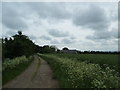 Farm road to Burrowly