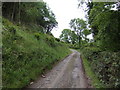 Track to Bwlch Farm