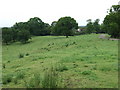 Marlheath Farm through the trees