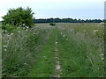 Footpath, Amport