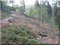 Tintern - landslip above the Moon and Sixpence