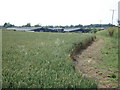 New chicken sheds at Lye End Farm