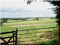 View towards Chaddesley Corbett from Old Barn