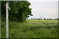 Bridleway heading towards Thurleigh airfield