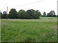 Water meadows north of Sharnbrook