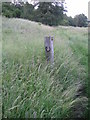 ST9436 : Footpath post near Park Bottom, Sherrington by Andy Gryce