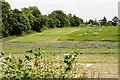 Looking across field to property named Homer