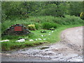 Access to Lochead Cottage