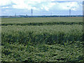 Across the fields to Flixborough