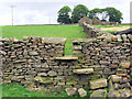 SE0149 : Stile on footpath from Bradley to Moor Gate by David Spencer