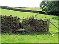 Stile near Cat Gill Wood