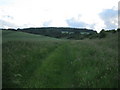 ST9537 : Footpath near Park Bottom, Sherrington 3 by Andy Gryce