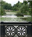 Abbey Park from Abbey Park Road Bridge