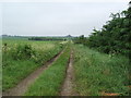 Track towards Savoch Moss