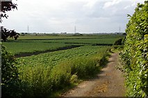 TL5982 : View across fields by Fractal Angel