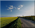 Rape seed fields looking down Cat Hill