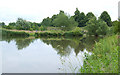 Pools for Anglers, near Codsall, Staffordshire