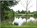 Pools on the Penk, near Codsall, Staffordshire