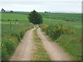 Farm road from Littlehill