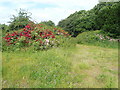 Former Car Park off the Stockley Trail