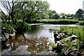 Ford on the Clady near Innishrush