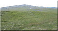 SH8625 : View upslope towards the Aran ridge by Eric Jones
